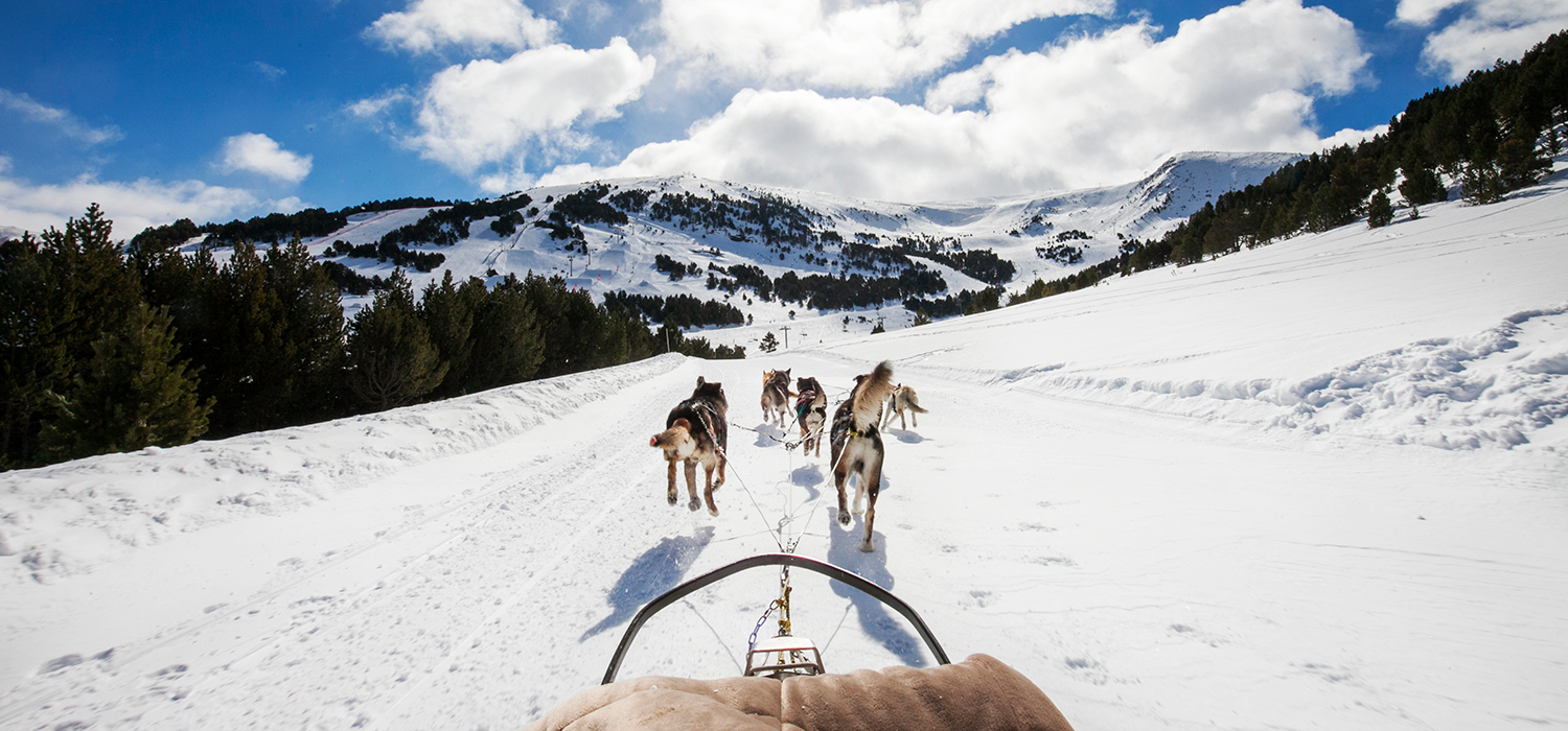 dog sledding in el tarter, andorra